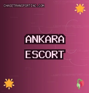Ankara Escort: Etimesgut Escort, Elmadağ Escort, Pursaklar Escort